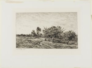Apfelbäume in Auvers von Charles Francois Daubigny