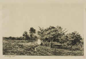 Apfelbäume in Auvers