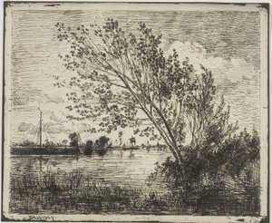 Gruppe von Erlenbäumen von Charles Francois Daubigny