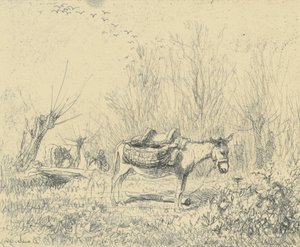 Der Esel auf der Wiese von Charles Francois Daubigny