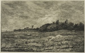 Le Pré des Graves in Villerville (Calvados) von Charles Francois Daubigny