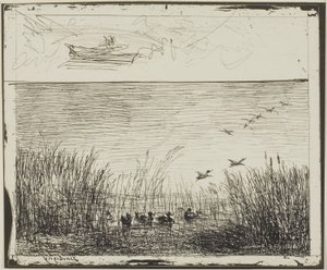 Sumpf mit Enten von Charles Francois Daubigny
