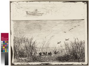 Sumpf mit Enten, 1862 von Charles Francois Daubigny