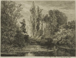 Hirsche am Wasserufer von Charles Francois Daubigny