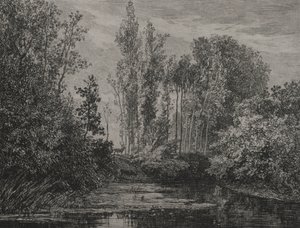 Hirsche am Wasser, 1850 von Charles Francois Daubigny