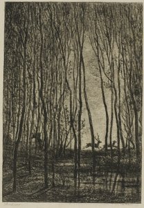 Hirsche im Wald