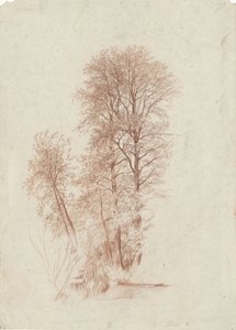 Studie von zwei schlanken und einigen kleineren Bäumen im Blatt von Charles Francois Daubigny