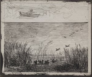 Sumpf mit Enten von Charles Francois Daubigny