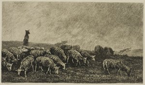 Die Wache des Hundes