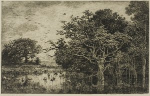 Das Moor mit Störchen von Charles Francois Daubigny