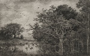 Das Moor mit Störchen, um 1851 von Charles Francois Daubigny