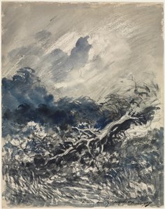 Die Eiche und das Schilfrohr, ca. 1873 (blaue und schwarze Waschung) von Charles Francois Daubigny