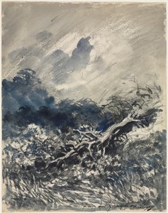 Die Eiche und das Schilfrohr, ca. 1873 von Charles Francois Daubigny