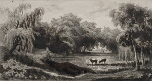 Der Teich mit Hirschen