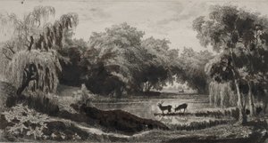 Der Teich mit Hirschen, 1845 von Charles Francois Daubigny
