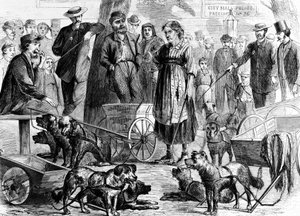 Verhaftete Lumpensammler im City Hall Park, New York, aus Harpers Weekly, veröffentlicht 1867
