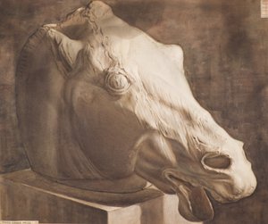 Studie - Pferdekopf vom Parthenon