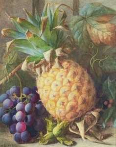 Stillleben mit Ananas und Trauben