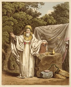 Ein Erz-Druide in seiner richterlichen Tracht, graviert von Robert Havell (1769-1832) 1815