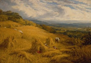 Die Ernte