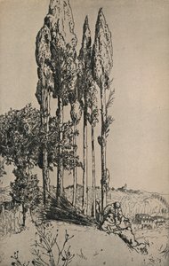 Zypressen bei Siena von Charles Holroyd