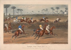 Einer von vier: Leamington Grand Steeple Chase ... 1837. Platte 2. Mr. Christian auf Scripton ...