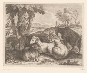 Schafe und Ziegen unter einem Baum (Tierserie) von Charles II Errard (attributed to)