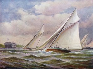 Weiße Flügel von Charles John de Lacy