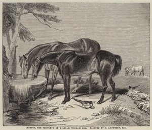 Pferde, Eigentum von William Wigram, Esquire