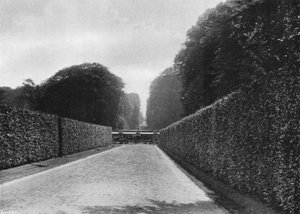 Eine Aussicht vom breiten Weg von Charles Latham