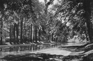 Der T-Teich von Charles Latham