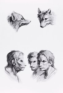 Ähnlichkeiten zwischen dem Kopf eines Wolfes und eines Mannes, aus 