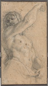 Studie für einen Herm von Charles Le Brun