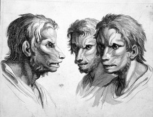 Drei Gesichter eines Werwolfs - von Le Brun