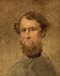 Cyrus Hall McCormick, Mitte des 19. Jahrhunderts