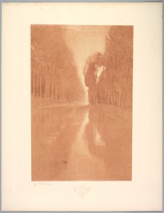 Suite von Landschaften: Landschaft, Platte 2, Remarque, Sternblumen von Charles Marie Dulac