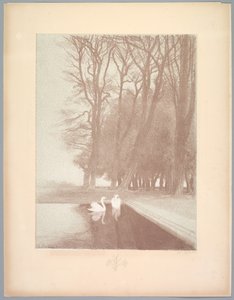 Suite von Landschaften: Landschaft, Platte 6, Remarque, Lilien von Charles Marie Dulac