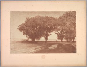 Suite von Landschaften: Landschaft, Platte 8, Remarque, Stiefmütterchen