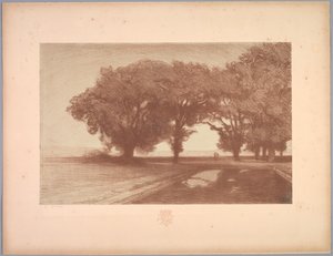 Suite de Paysages: Landschaft, Platte 8, Remarque, Stiefmütterchen, 1892-1893 von Charles Marie Dulac
