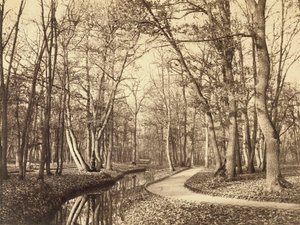 Bois de Boulogne, Paris von Charles Marville