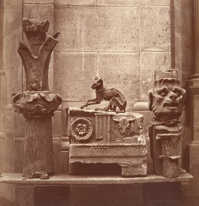Die mumifizierte Katze gefunden bei den Ausgrabungen von Saint-Germain-en-Laye, um 1862