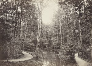 Mare aux biches (Rehweiher), Bois de Boulogne