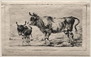 Kuh und Esel, 1849