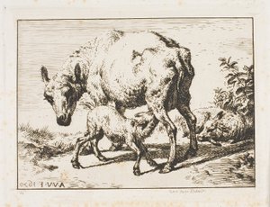 Das Mutterschaf mit zwei Lämmern von Charles Meryon