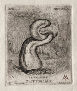 Der kränkliche Kryptogam, 1860