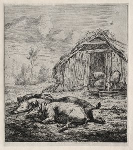 Drei Schweine vor einem Stall liegend von Charles Meryon
