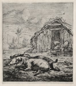 Drei Schweine vor einem Stall liegend von Charles Meryon