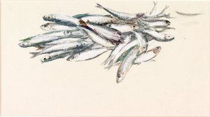 Studie von Fischen von Charles Napier Hemy