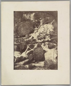 Bäume und Wasserfälle von Charles Nègre