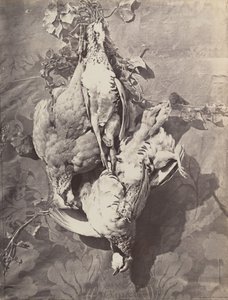 Stillleben mit Wildvögeln, 1859